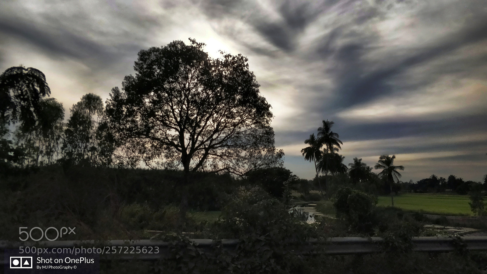 OnePlus 5 sample photo. Sunset photography