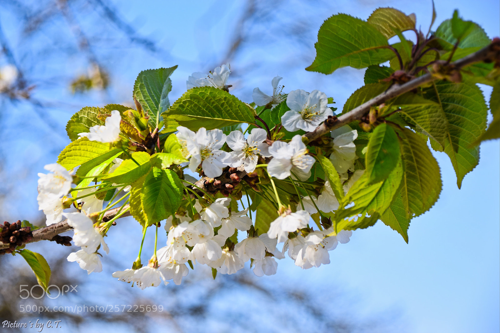 Nikon D3300 sample photo. Auch am srand gibt photography