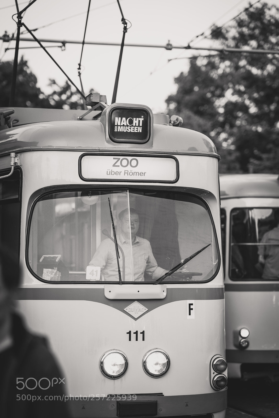 Sony a7R III sample photo. Trum to zoo photography