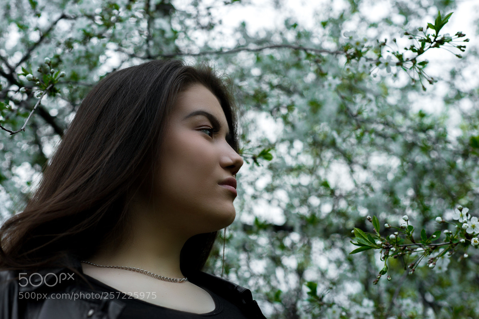 Nikon D610 sample photo. Lesun photography