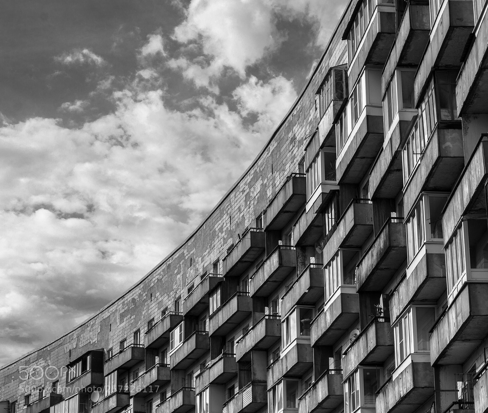 Canon EOS 50D sample photo. Untitled photography