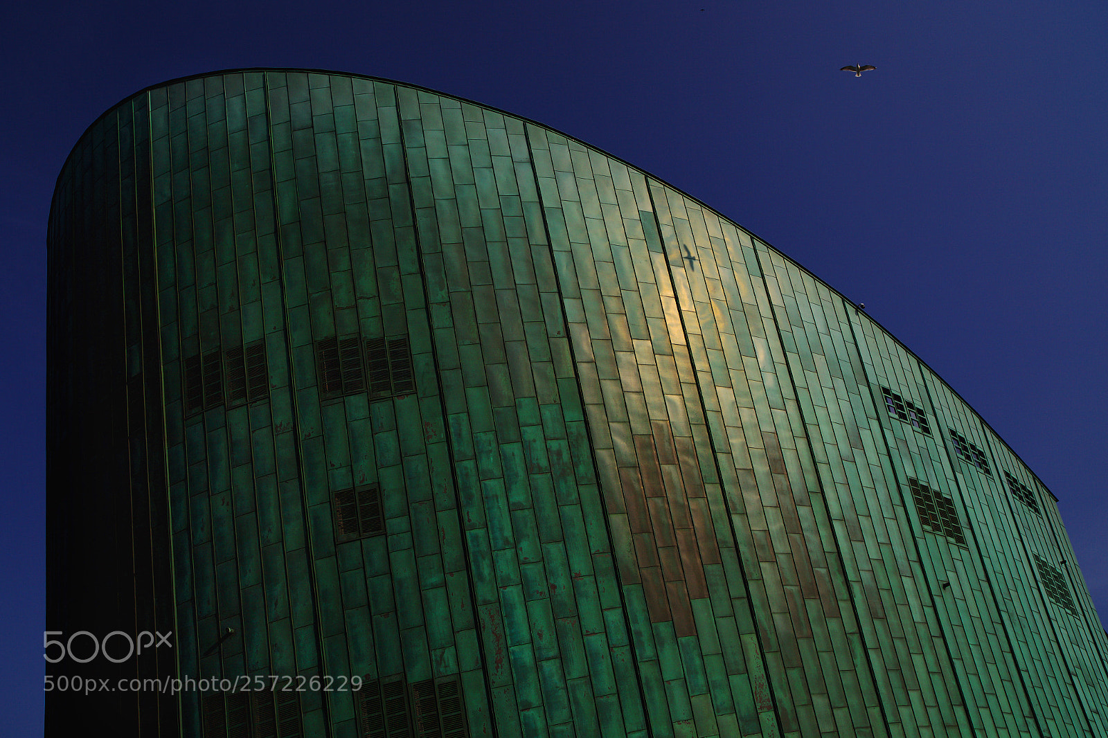 Canon EOS 5D Mark II sample photo. Amsterdam nemo photography