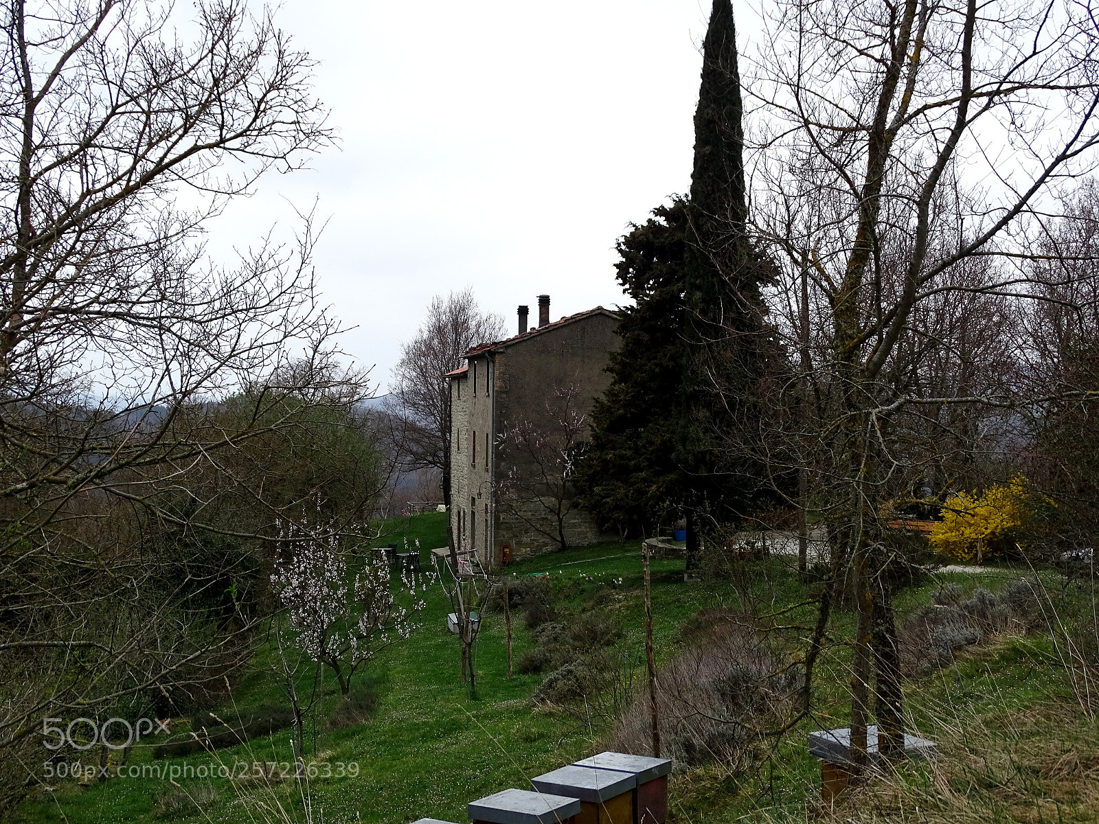 Sony Cyber-shot DSC-HX400V sample photo. Punto di vista, delle photography