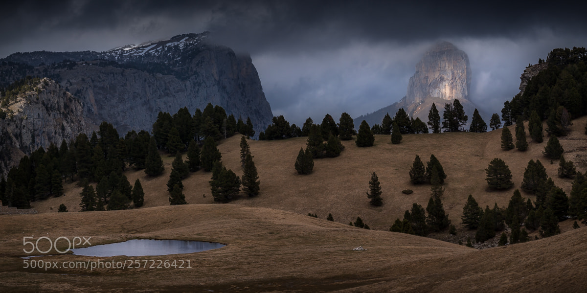 Canon EOS 5D Mark II sample photo. Darkness photography
