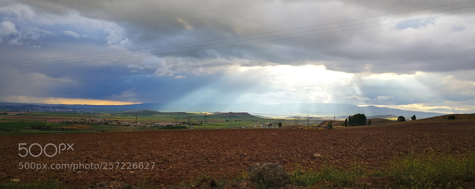 HUAWEI Mate 9 sample photo. Untitled photography