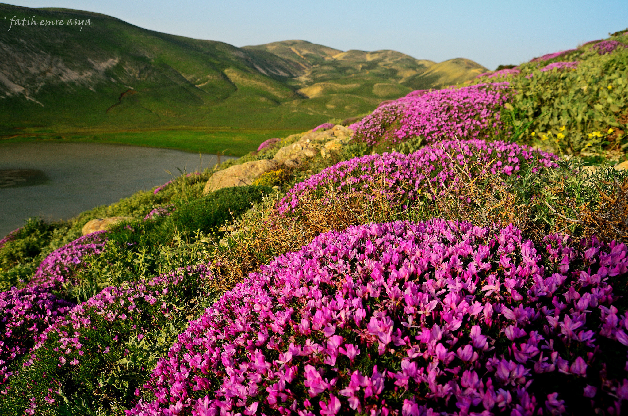 Nikon D7000 sample photo. Karagöl, kahramanmaraş photography