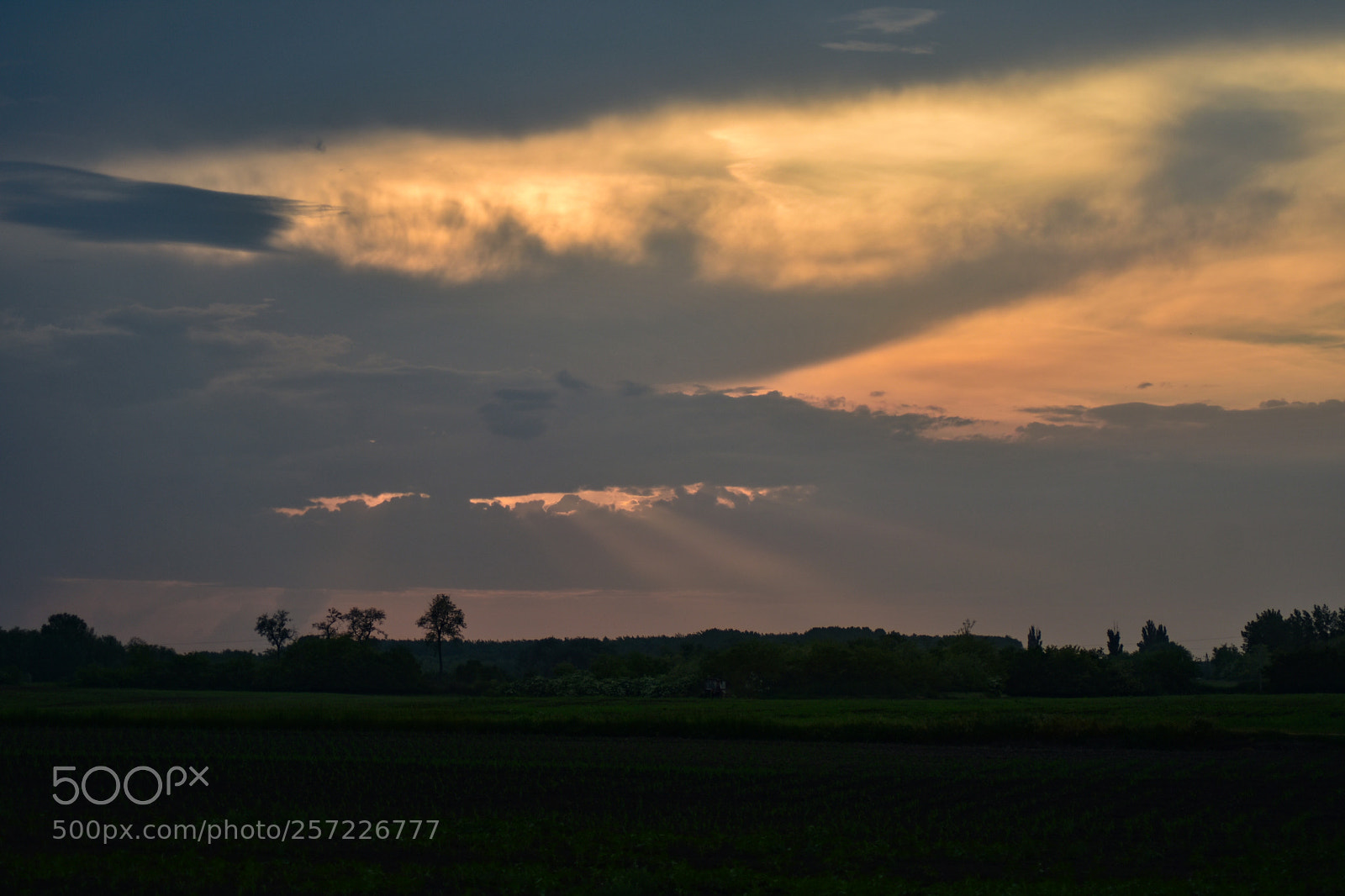 Nikon D7200 sample photo. Untitled photography