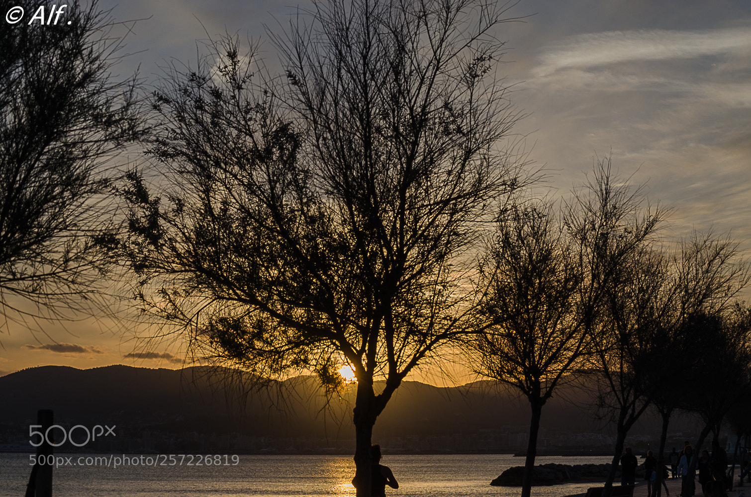 Nikon D5100 sample photo. Puesta de sol photography