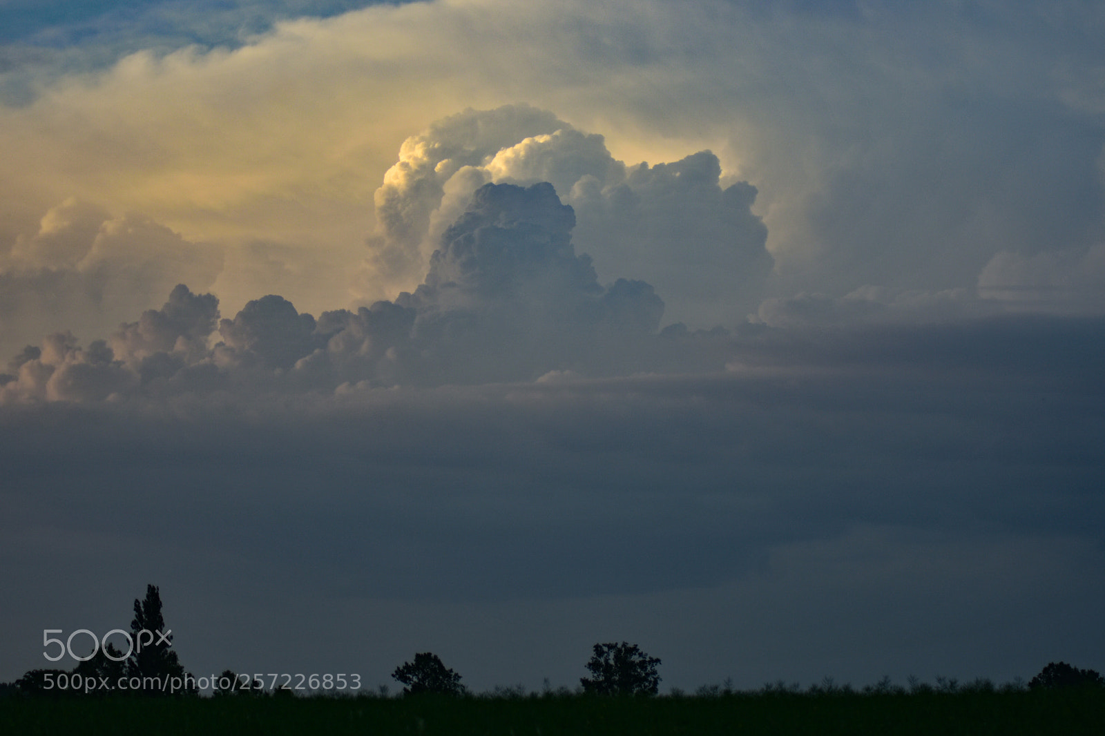 Nikon D7200 sample photo. Untitled photography