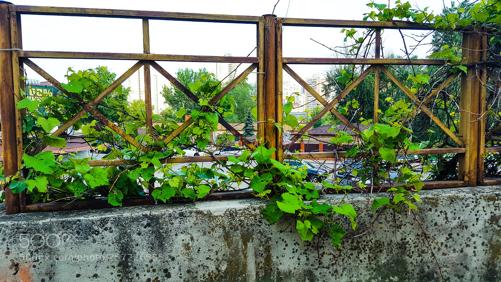 Samsung GALAXY S6 edge sample photo. Wall photography