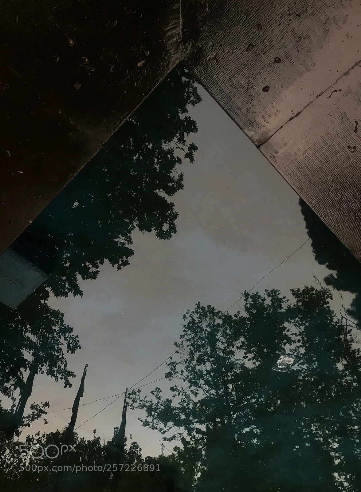 Apple iPhone 7 sample photo. Untitled photography
