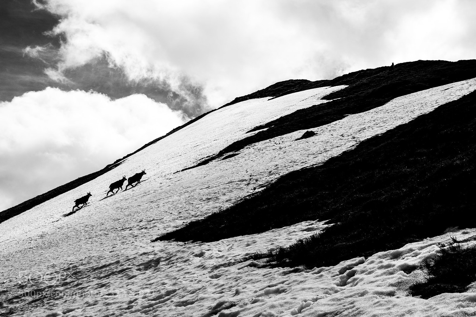 Nikon D5200 sample photo. To the top photography
