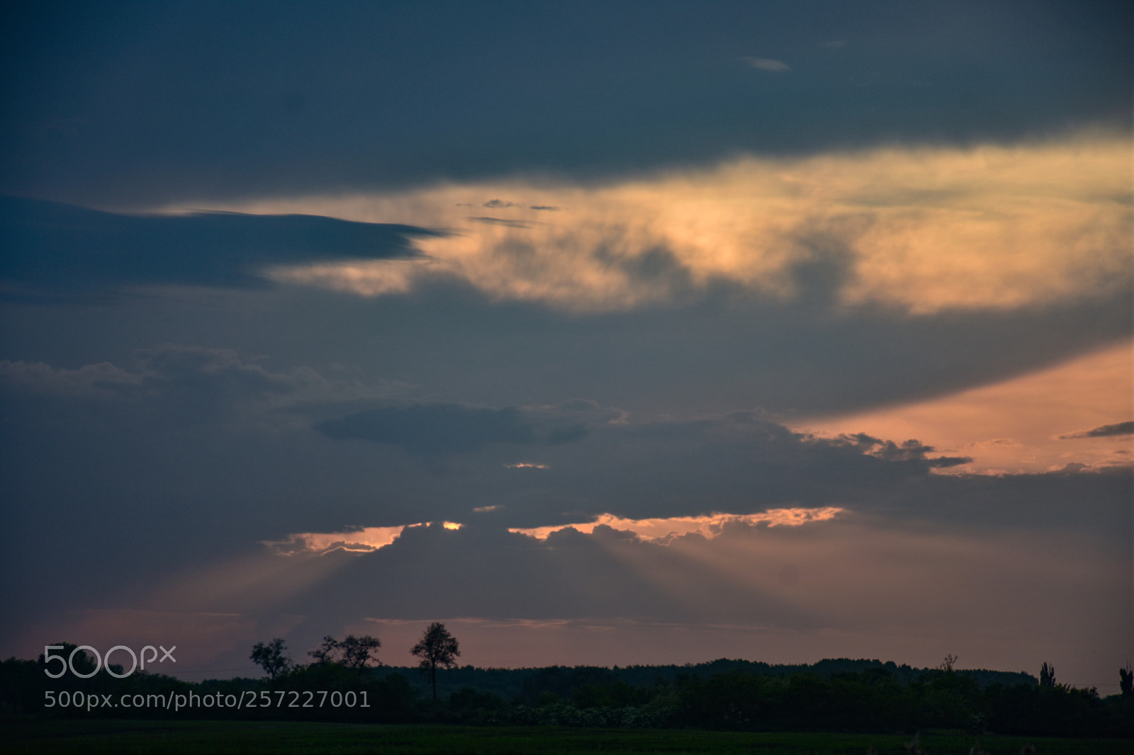 Nikon D7200 sample photo. Untitled photography