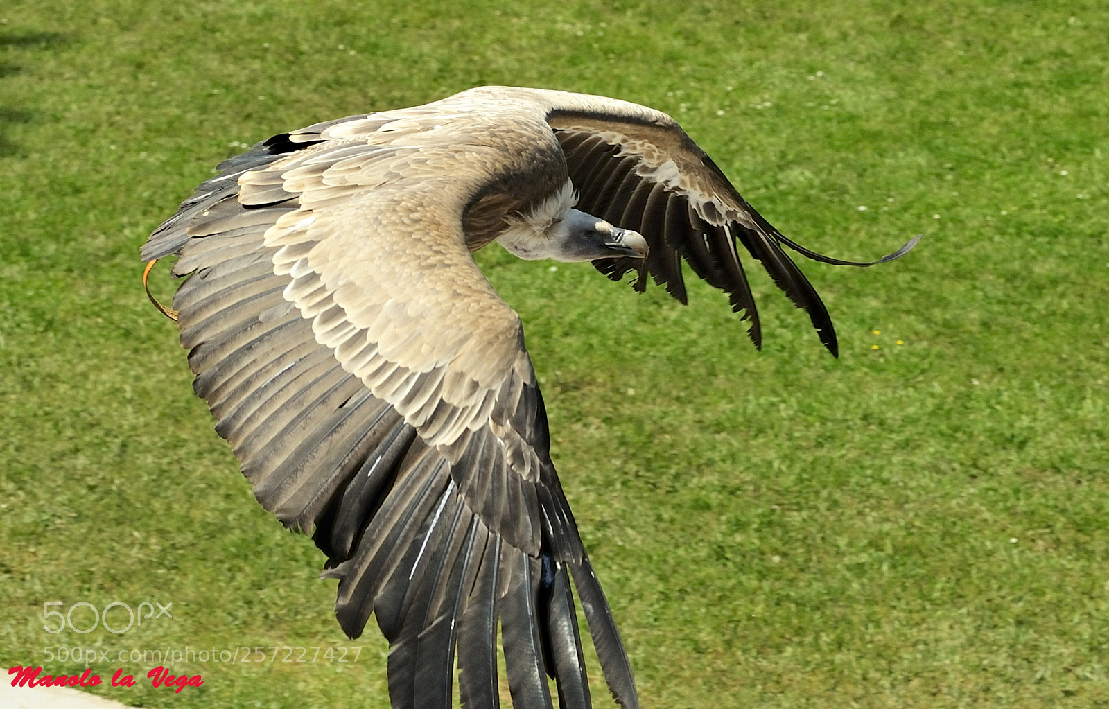Nikon D700 sample photo. Cabarceno photography