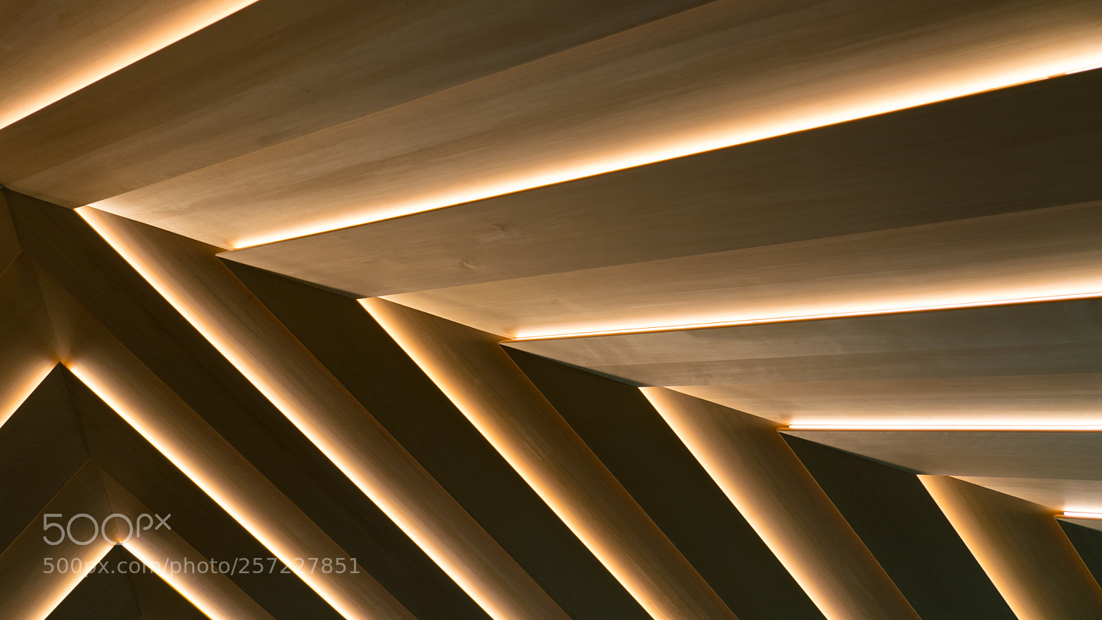 Sony a7R III sample photo. Cafe ceiling photography
