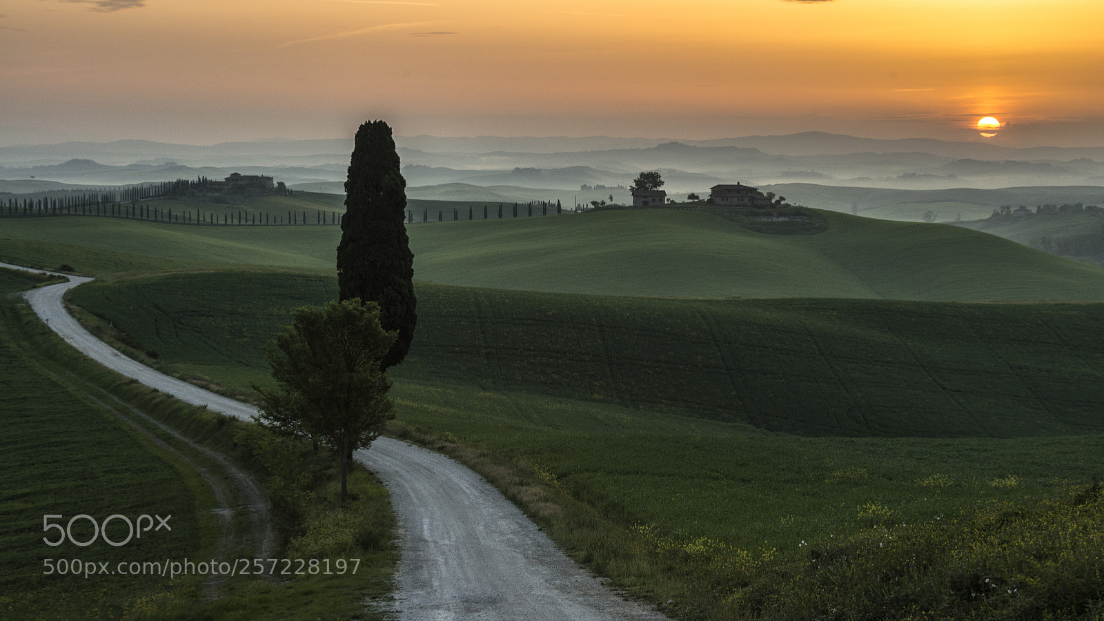 Nikon D800 sample photo. Val d`orcia photography