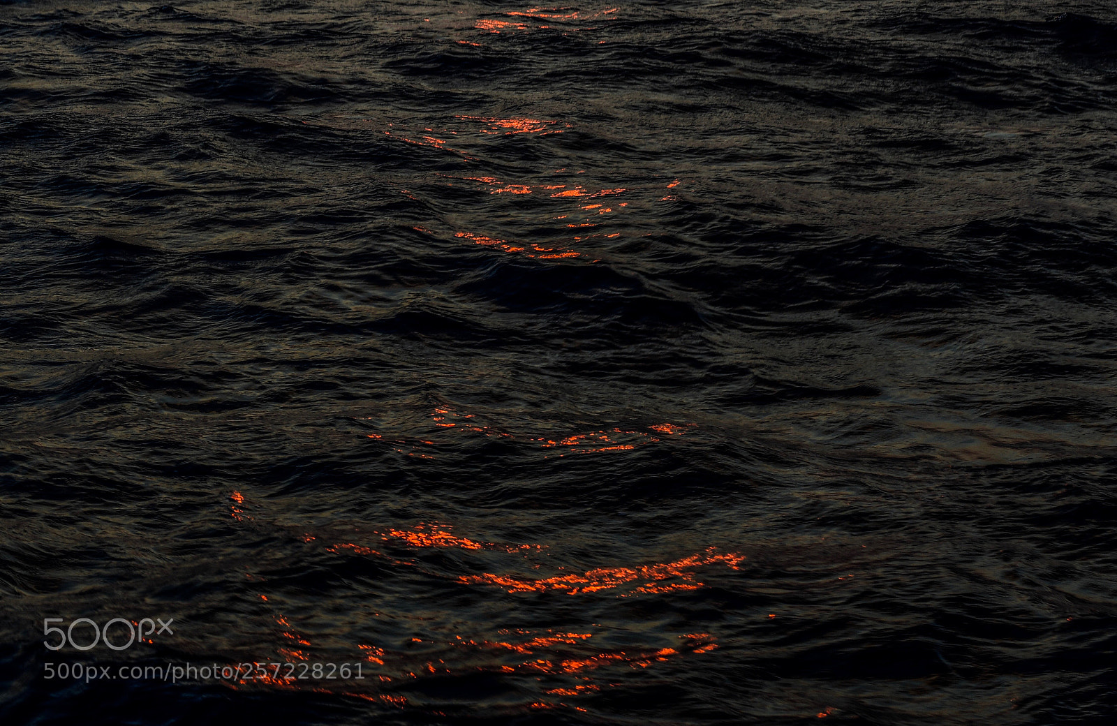Nikon D850 sample photo. Sun flames... photography