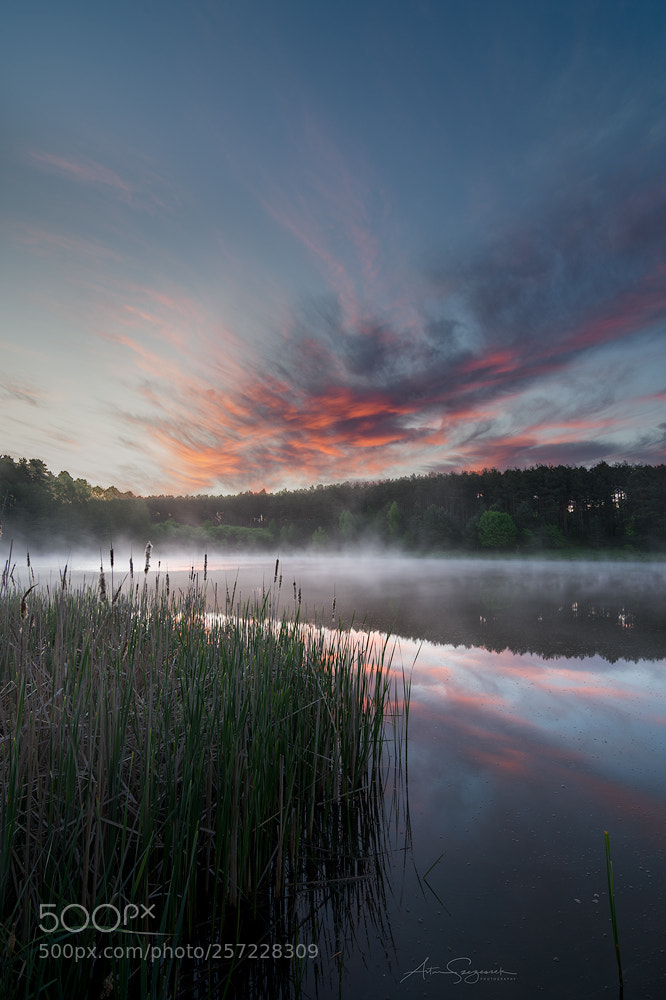 Nikon D7200 sample photo. Sky reflection photography