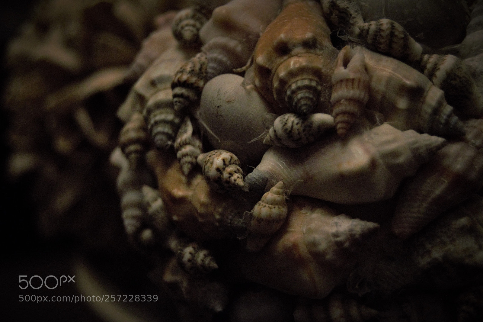 Nikon D3300 sample photo. Untitled photography