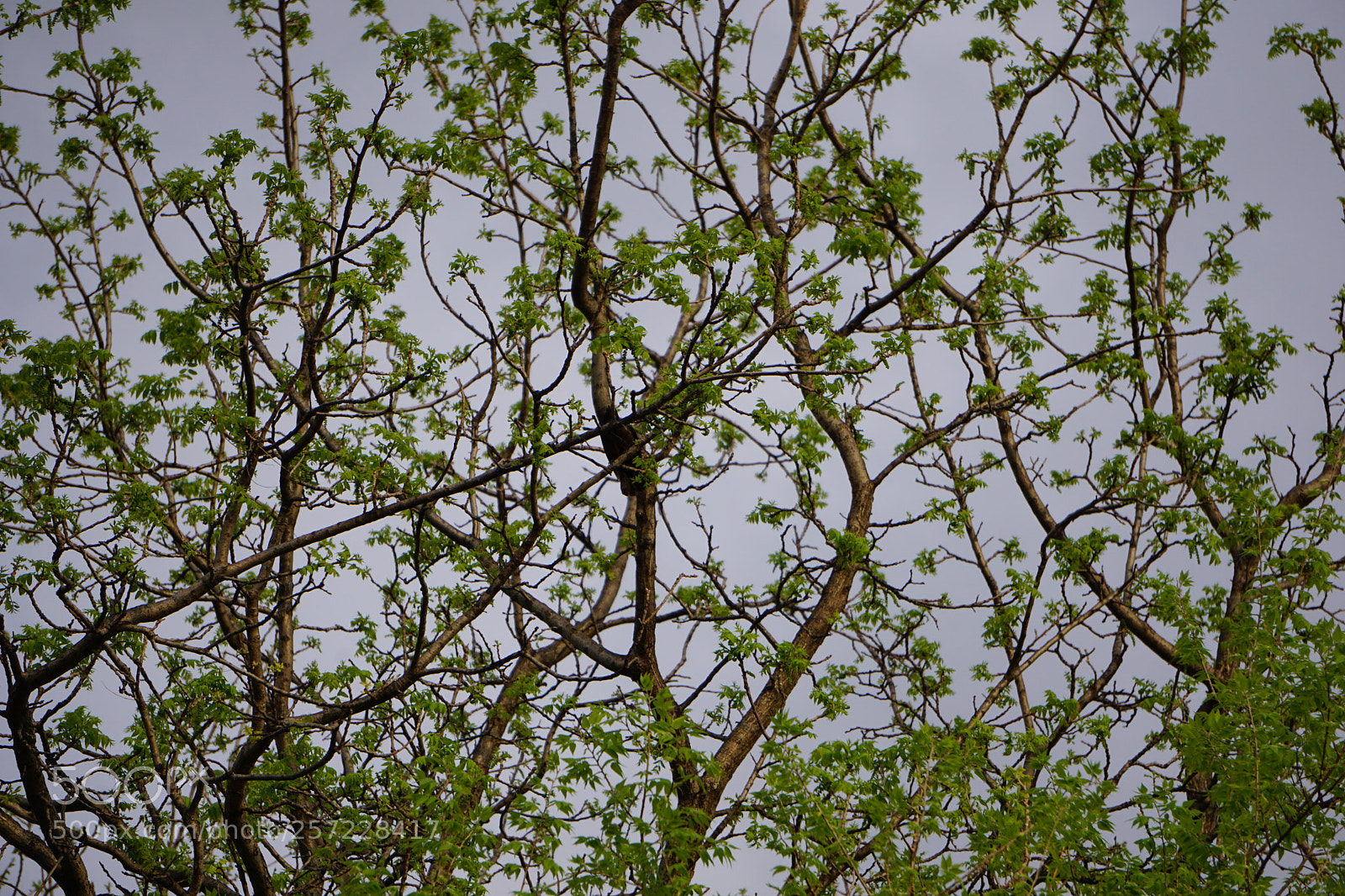 Sony a6000 sample photo. Dsc photography