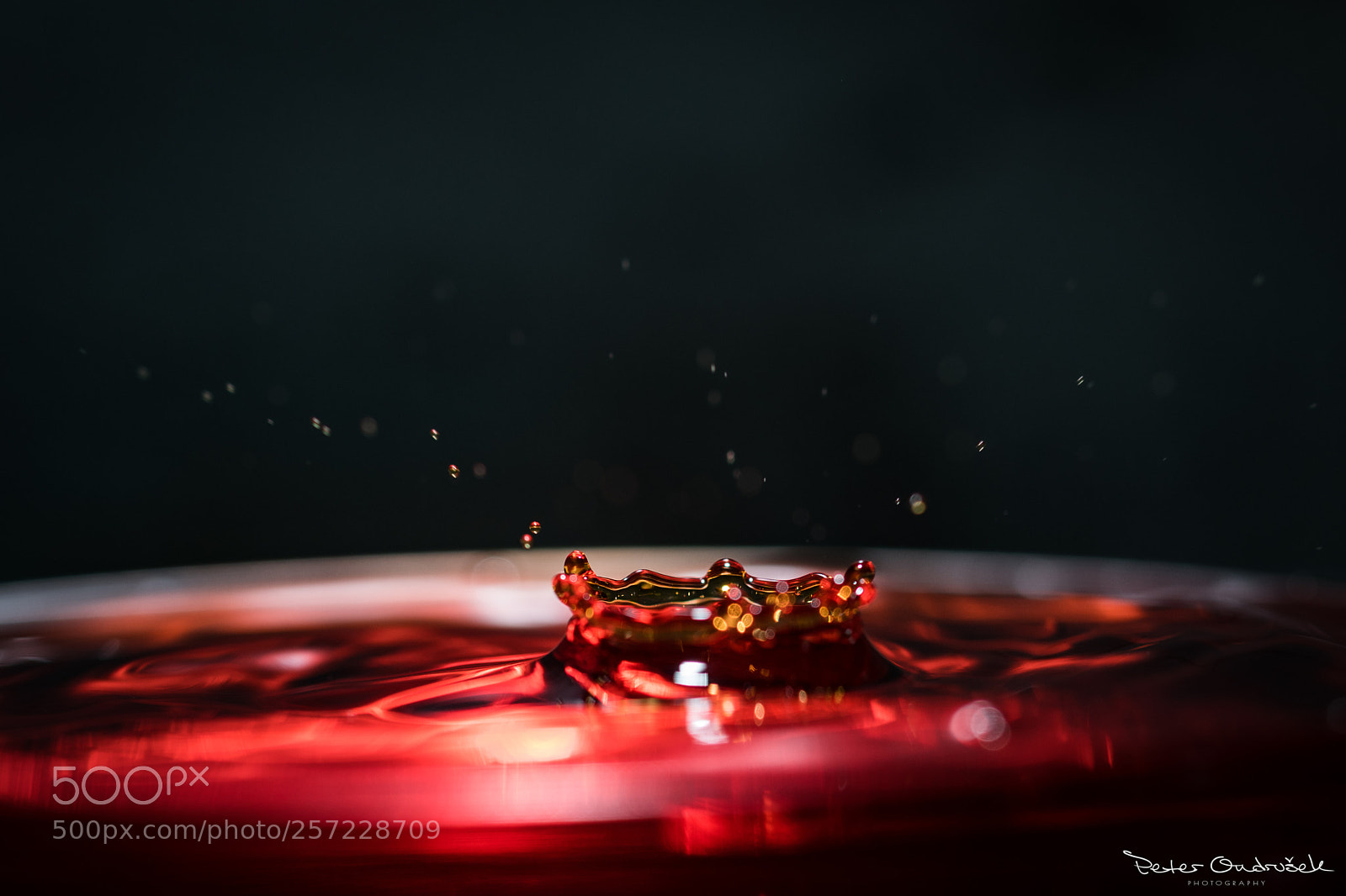 Nikon D850 sample photo. Water drop photography