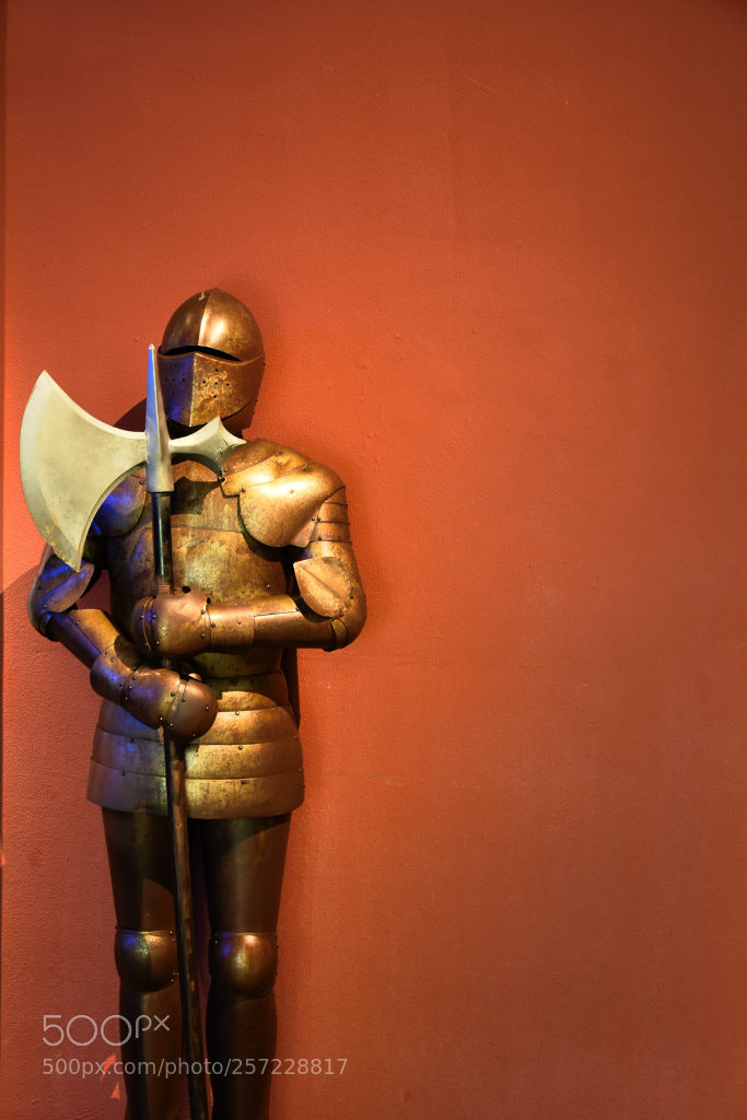 Nikon D7200 sample photo. Warrior photography
