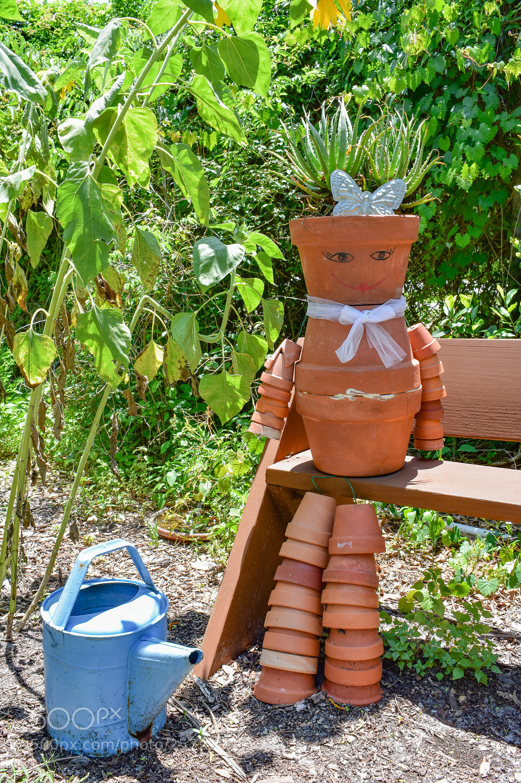Nikon D3400 sample photo. Usf photography