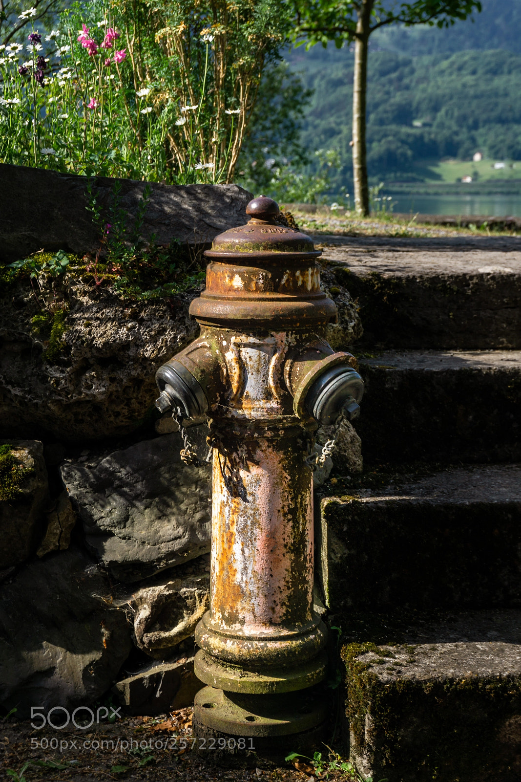 Sony a6000 sample photo. Hydrant photography