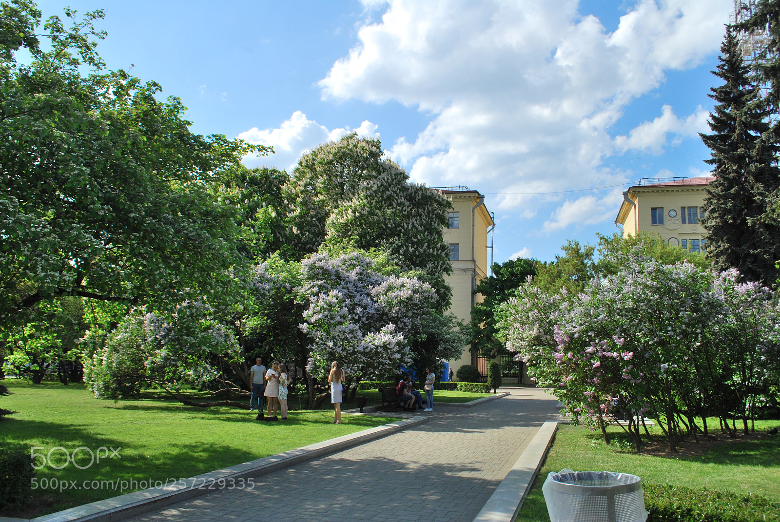 Nikon D60 sample photo. Parks of minsk
 photography
