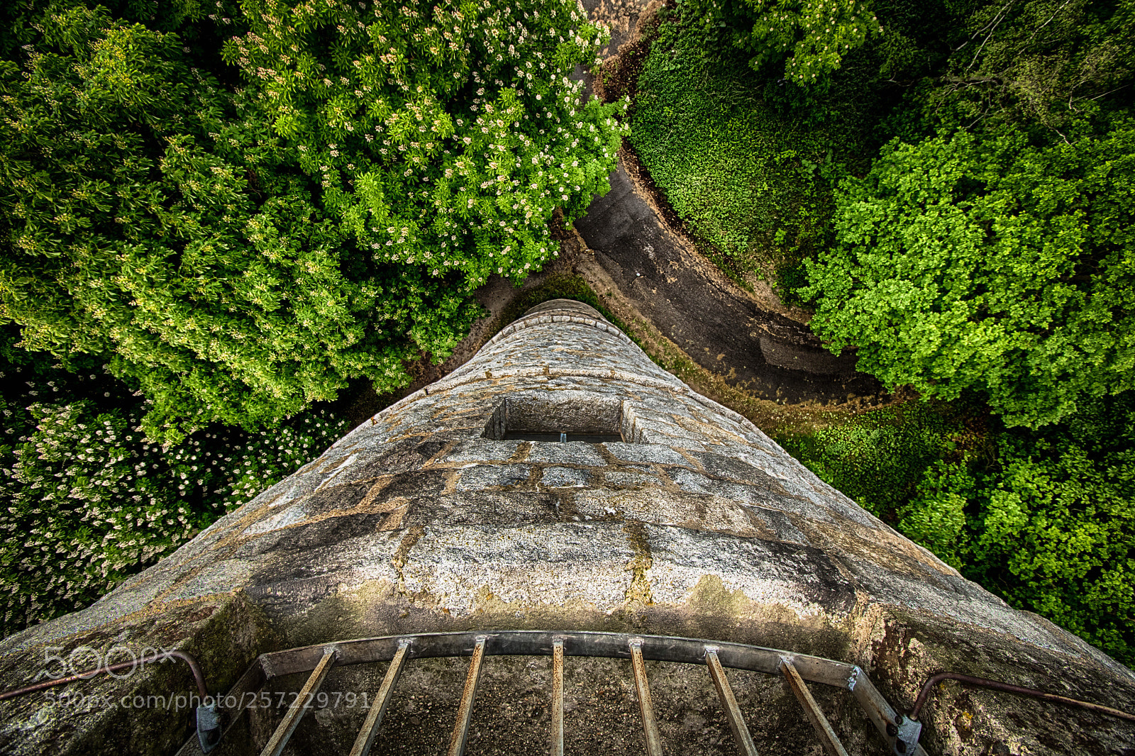 Nikon D5500 sample photo. Free fall photography