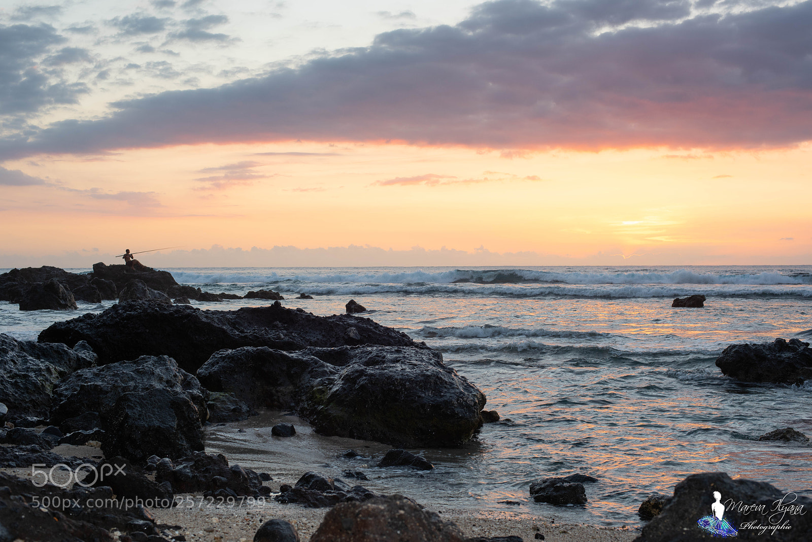 Nikon D810 sample photo. Boucan canot - la photography