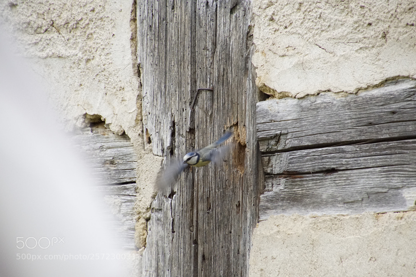 Sony ILCA-77M2 sample photo. Untitled photography