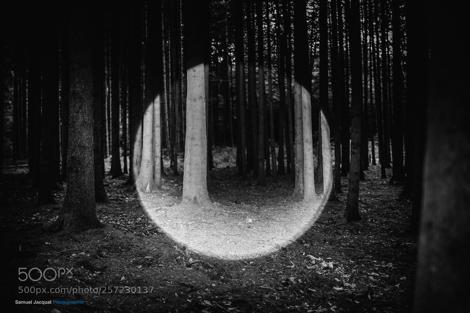 Nikon D850 sample photo. The door of the photography