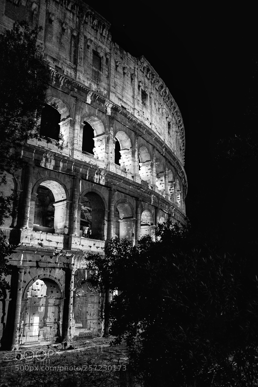 Nikon D610 sample photo. Night colosseum photography