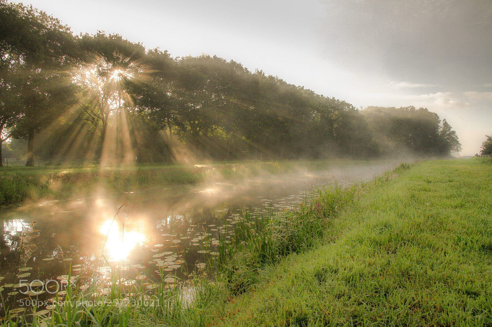 Canon EOS 7D sample photo. Sunrays photography