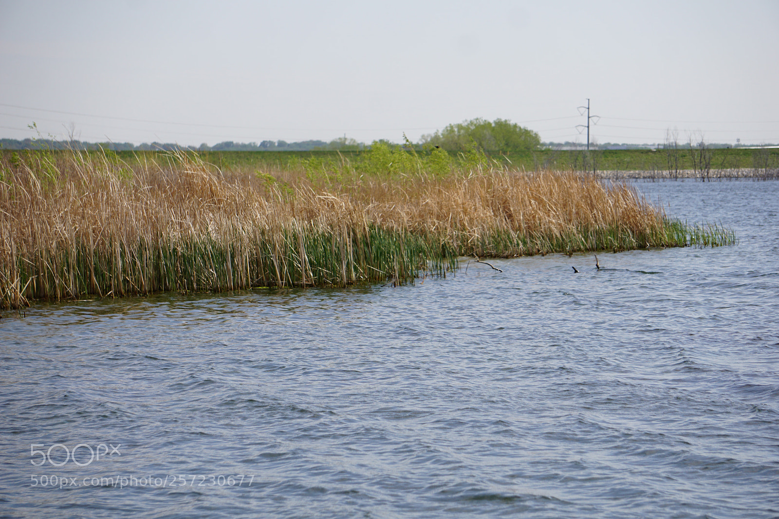 Sony a6000 sample photo. Dsc photography
