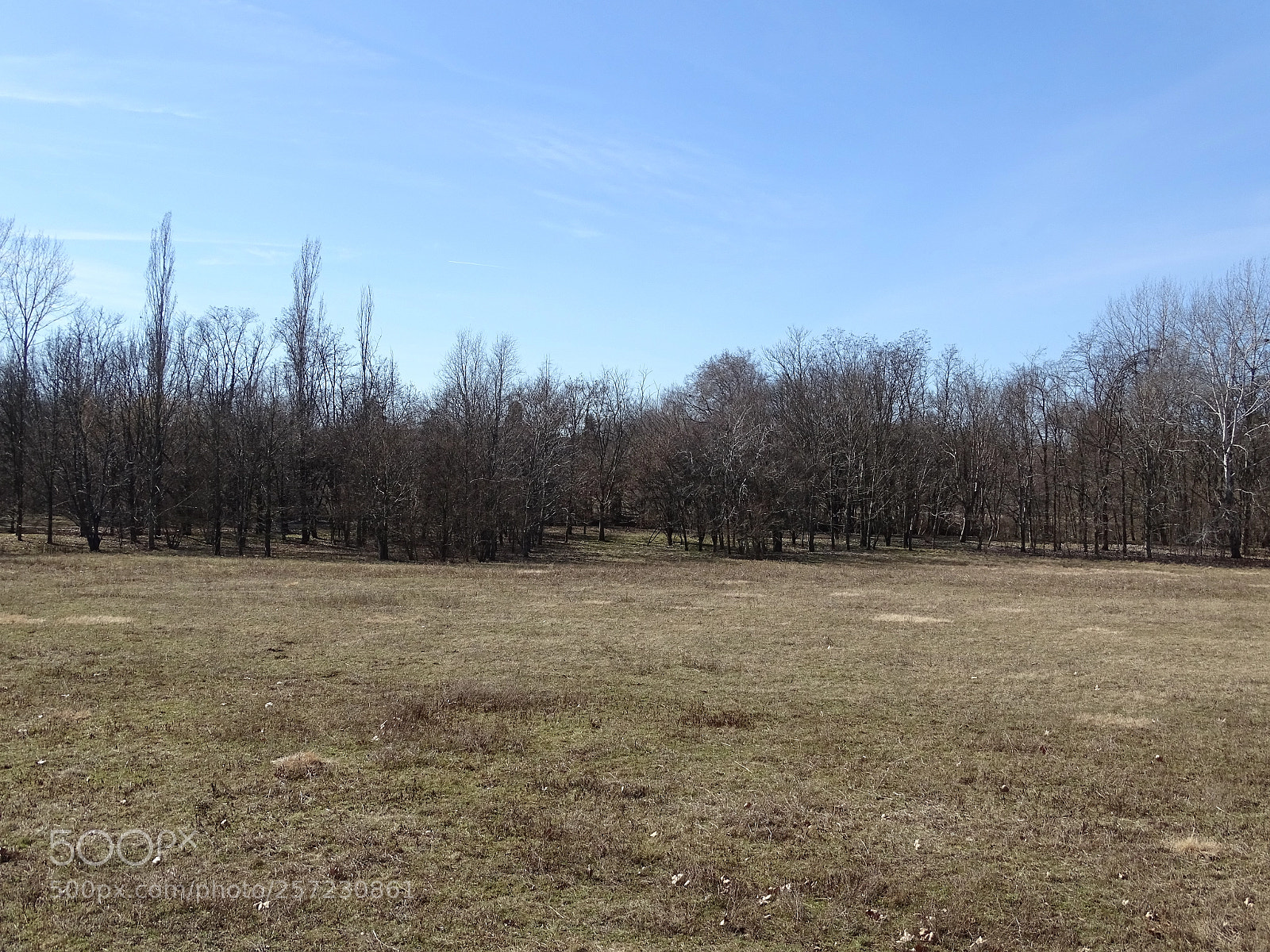 Sony Cyber-shot DSC-HX400V sample photo. Parco del cormor normale photography