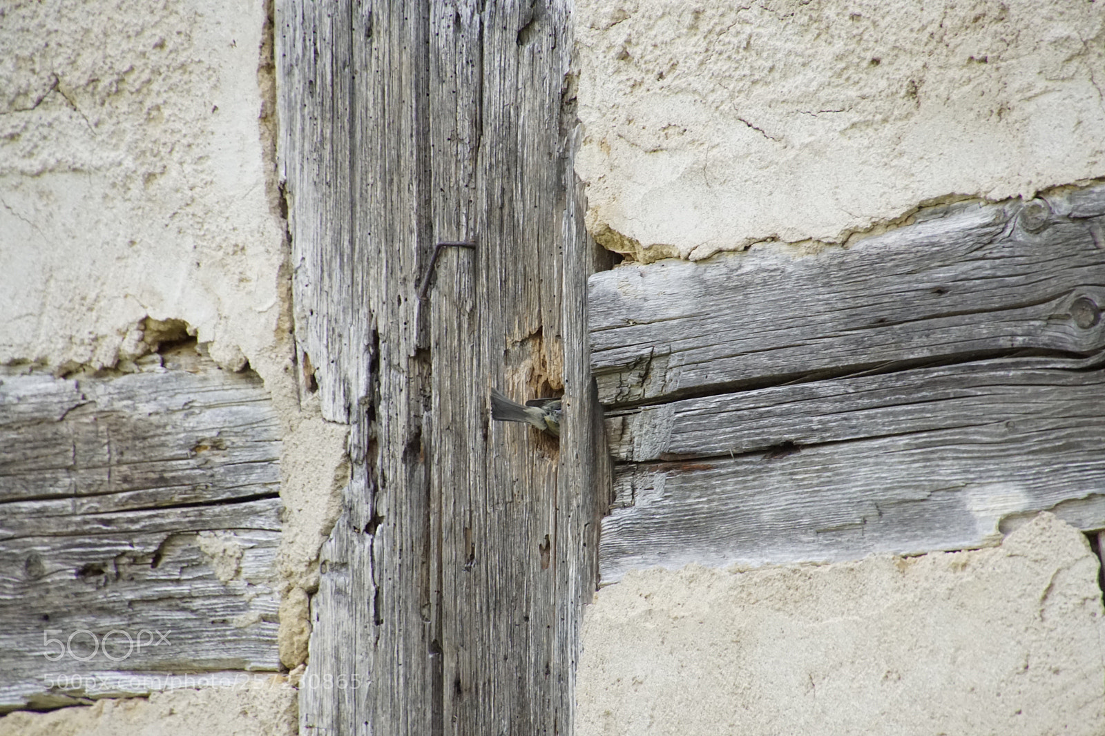Sony ILCA-77M2 sample photo. Untitled photography