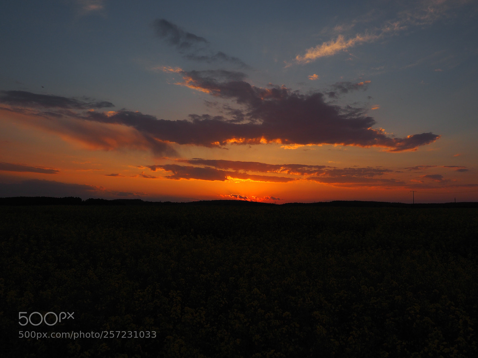 Olympus PEN-F sample photo. Sonnenuntergang photography