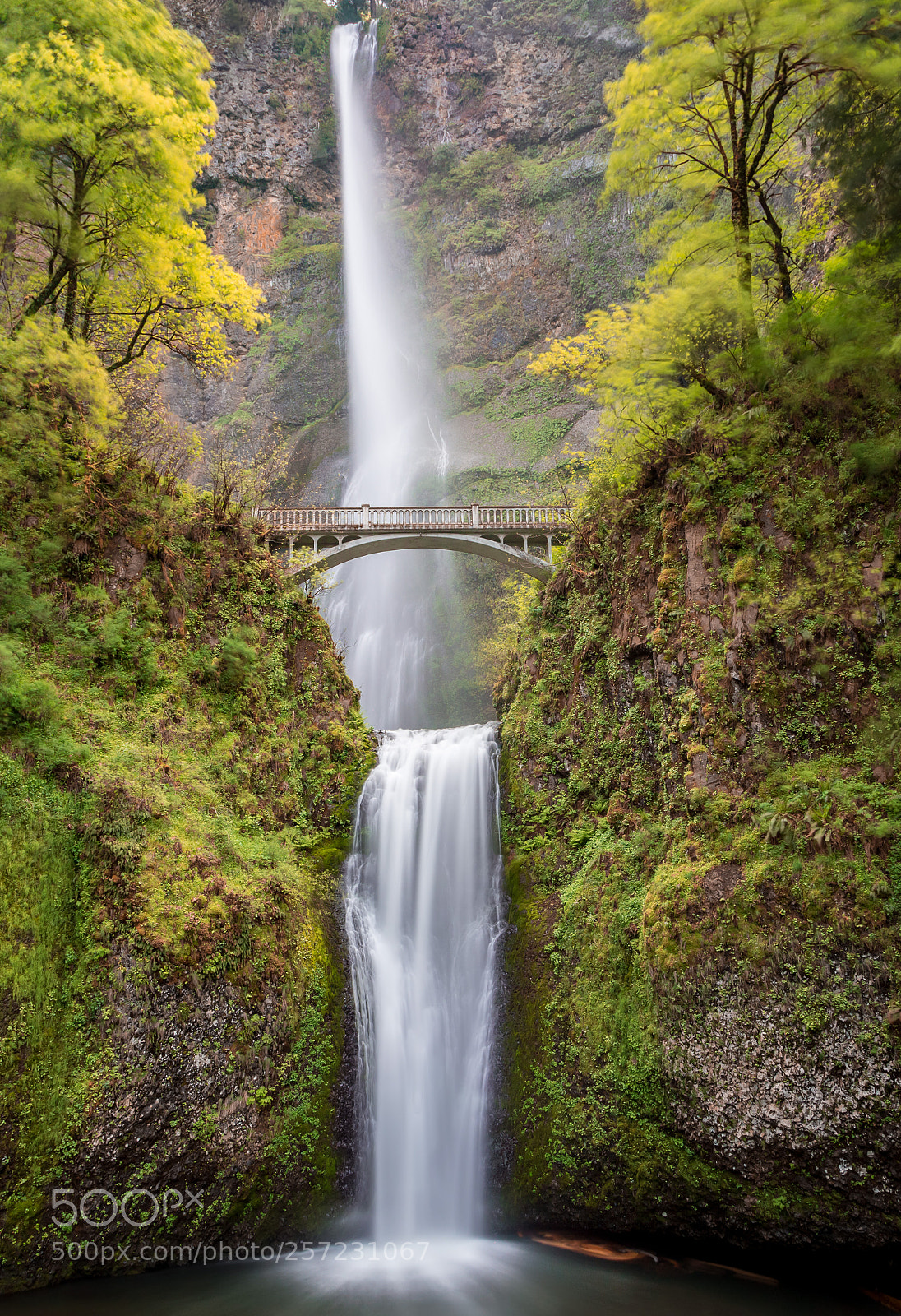 Canon EOS 6D sample photo. Multanomah falls photography