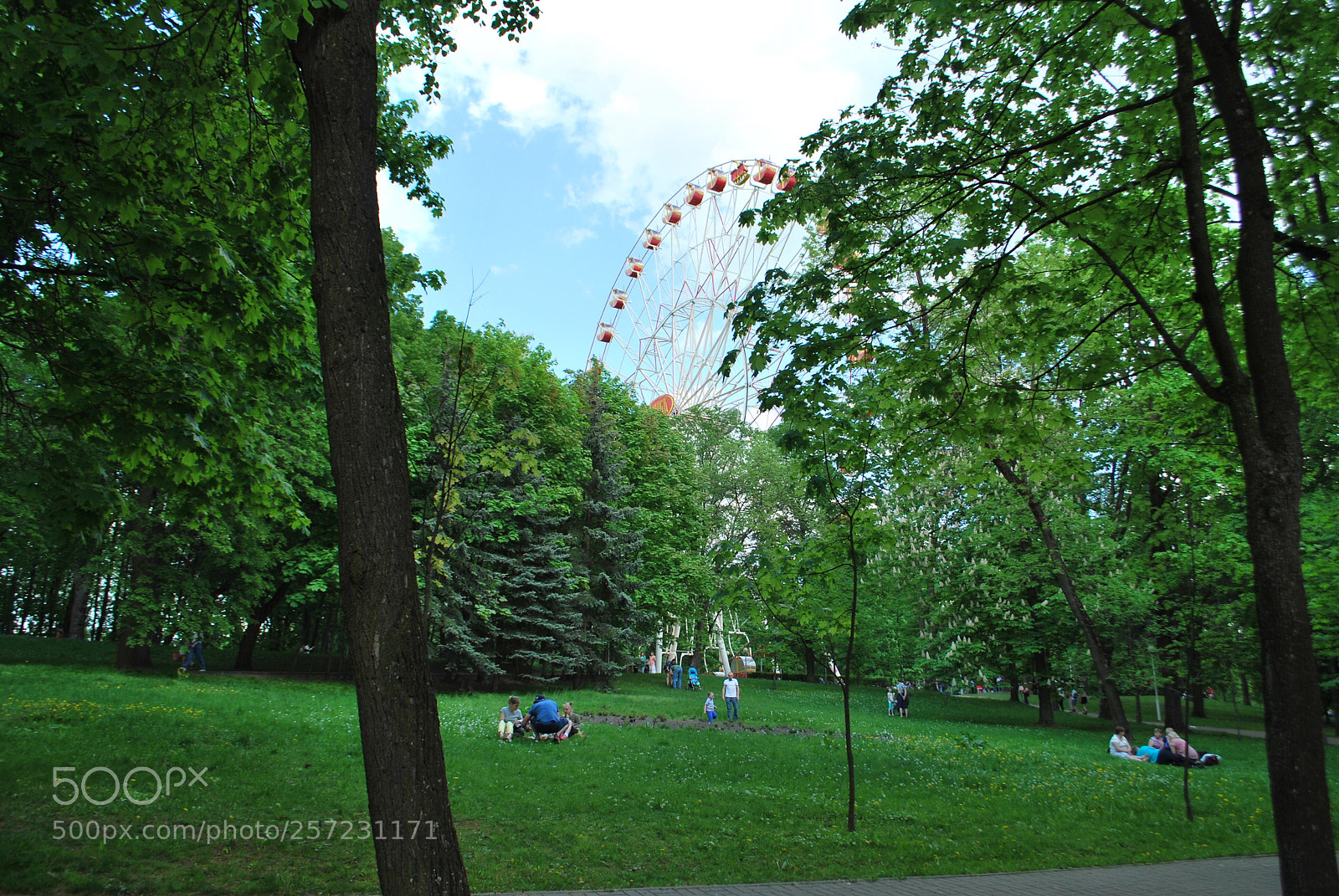 Nikon D60 sample photo. Parks of minsk photography