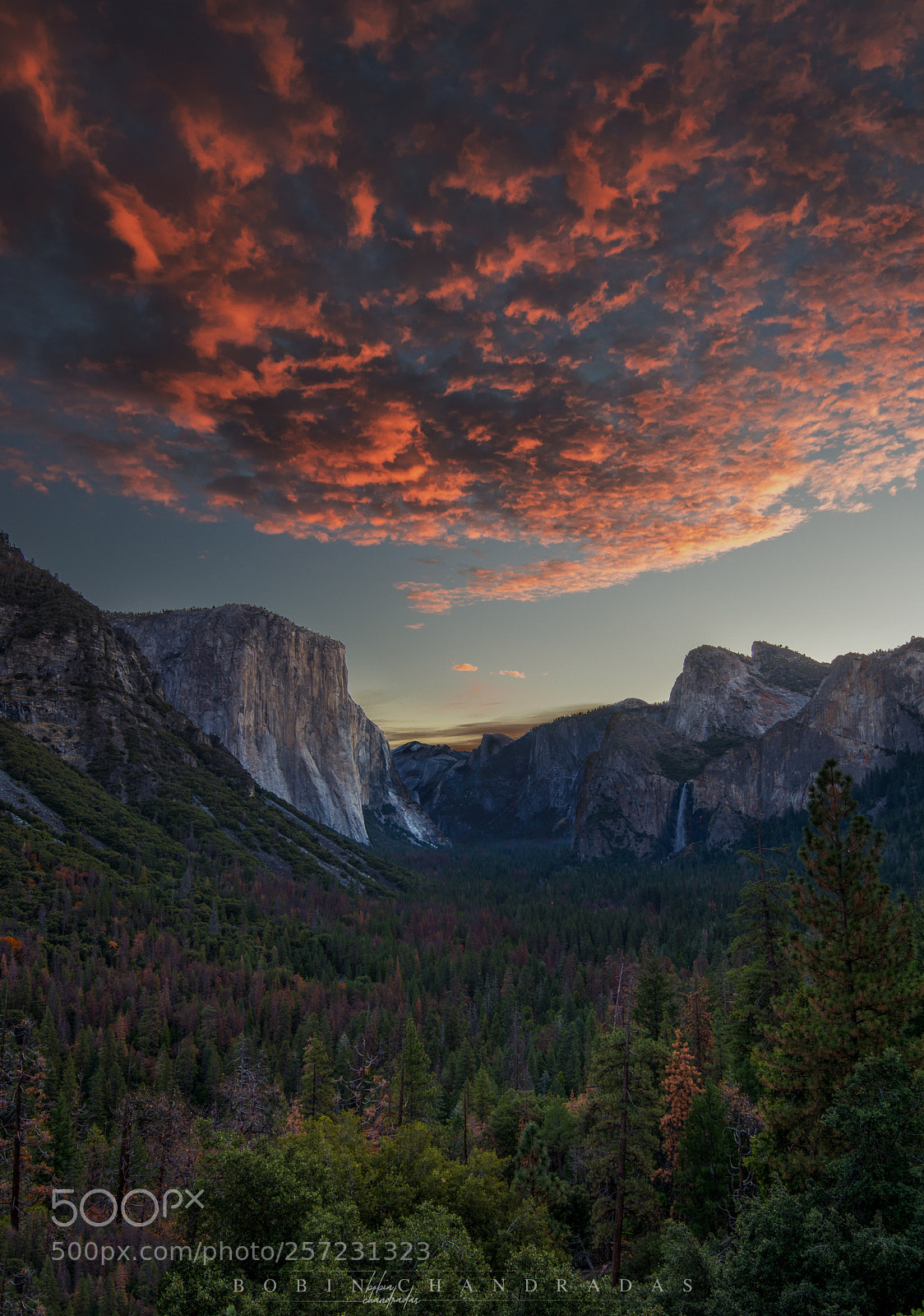Nikon D810 sample photo. Harmony | yosemite photography