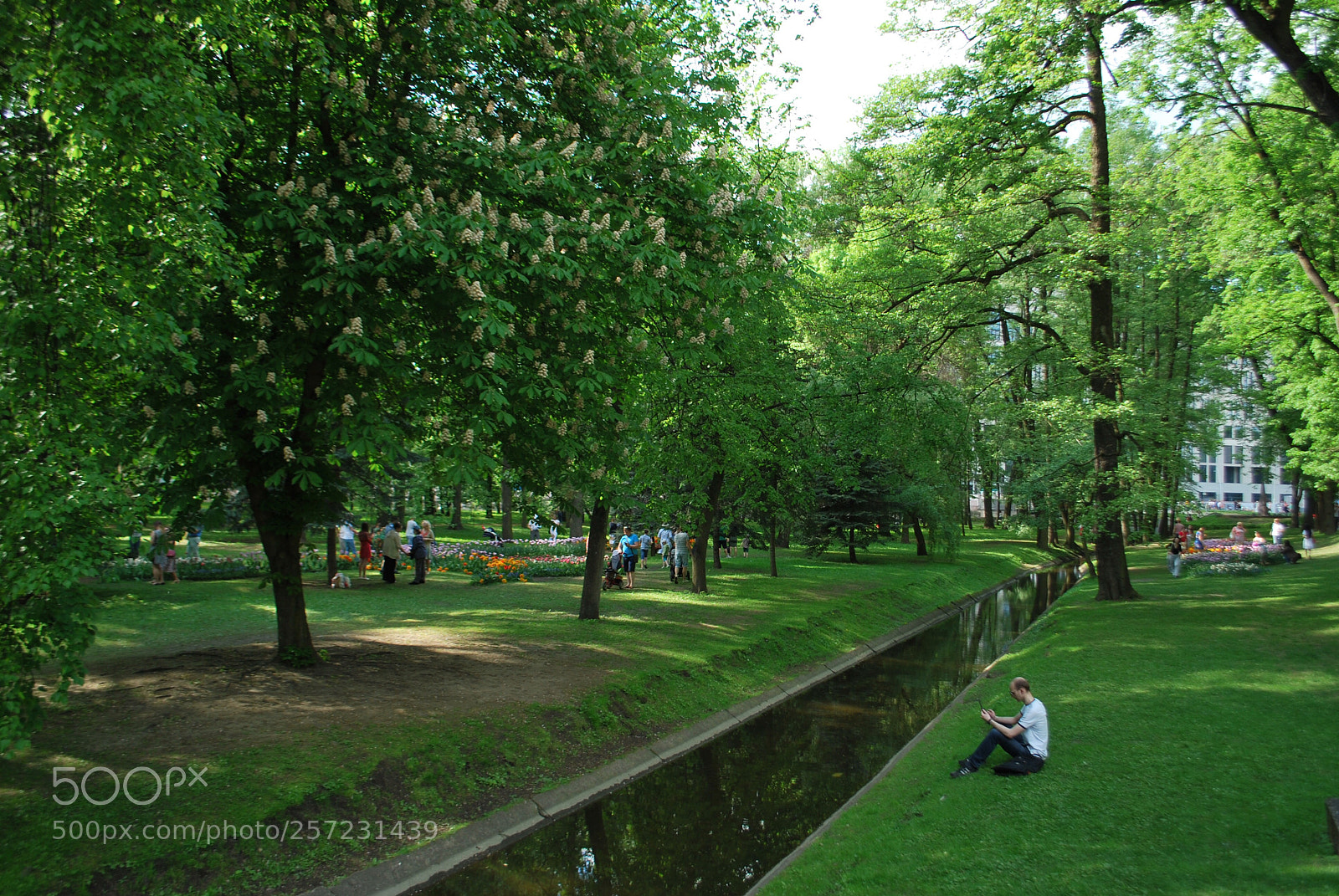 Nikon D60 sample photo. Parks of minsk photography