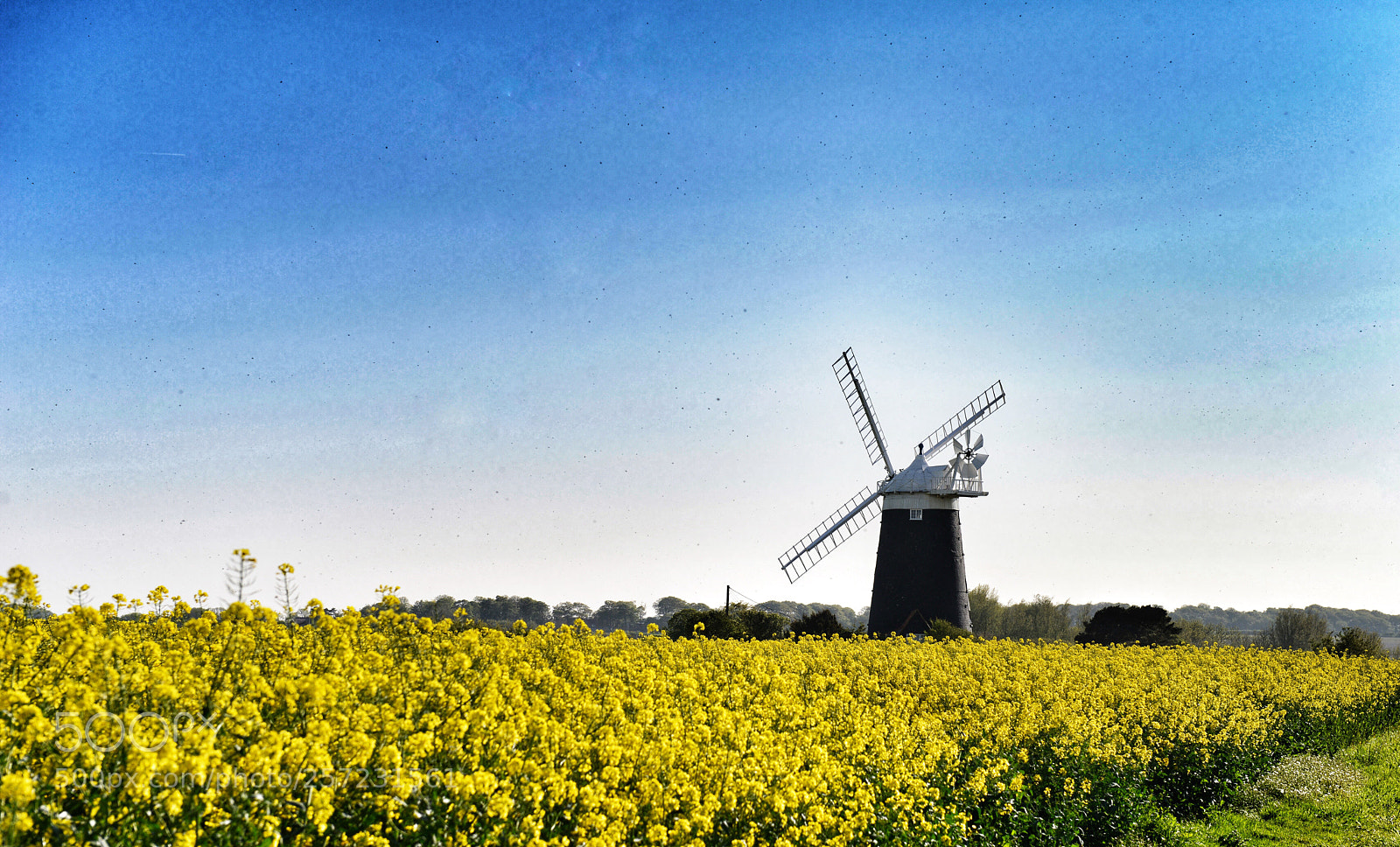 Nikon D800 sample photo.  windmill in the yellow photography