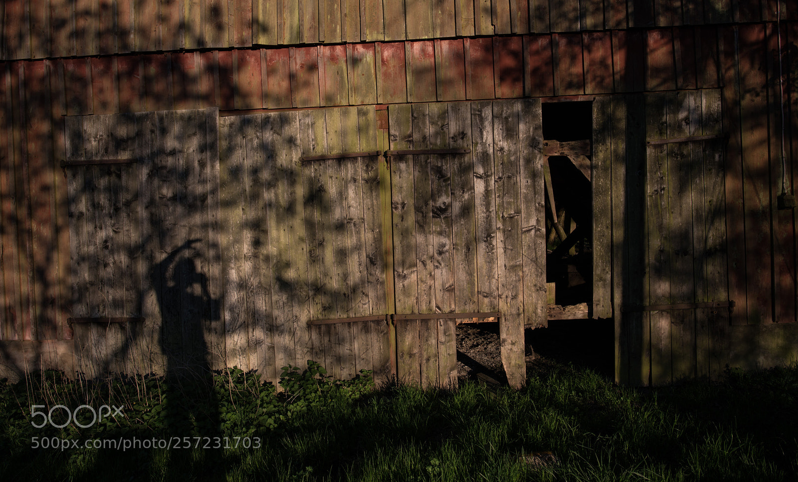 Nikon D750 sample photo. Shadows photography