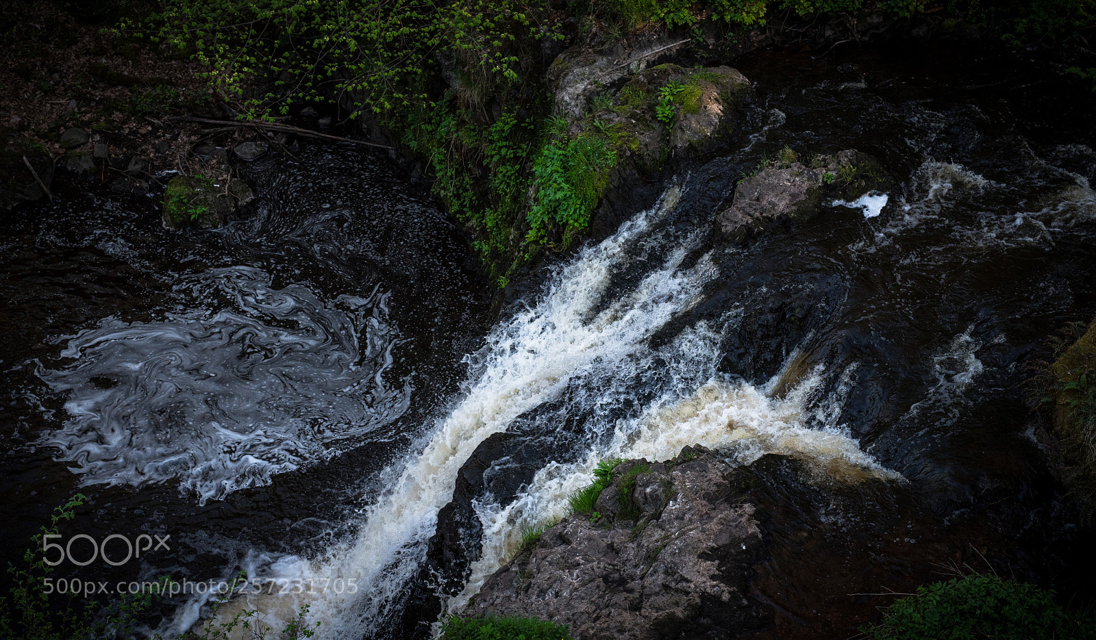 Nikon D750 sample photo. Impermanence photography