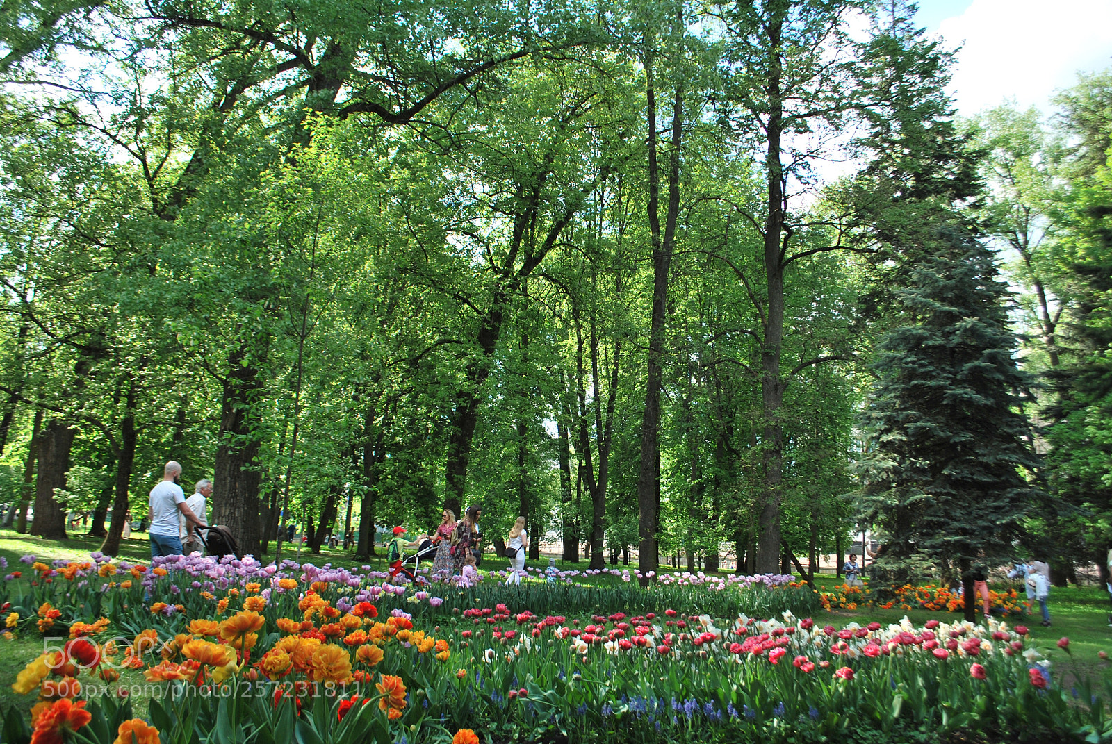 Nikon D60 sample photo. Parks of minsk photography