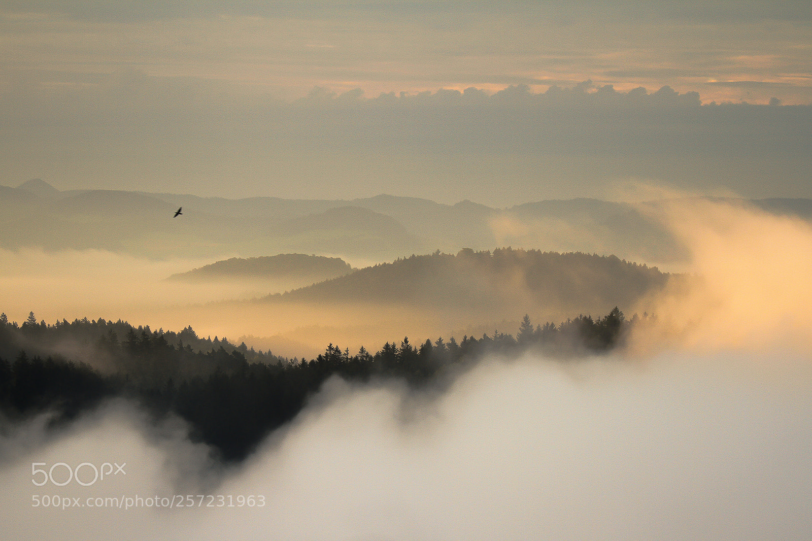 Canon EOS 7D sample photo. Over the clouds photography