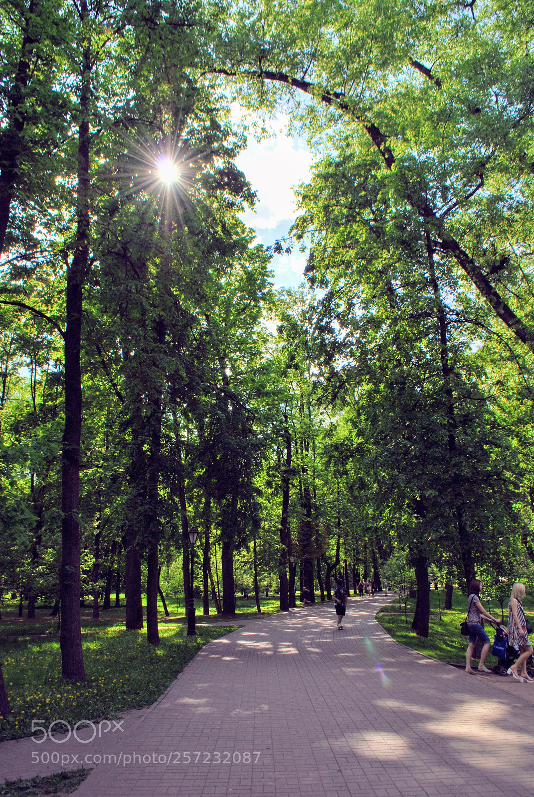 Nikon D60 sample photo. Parks of minsk photography