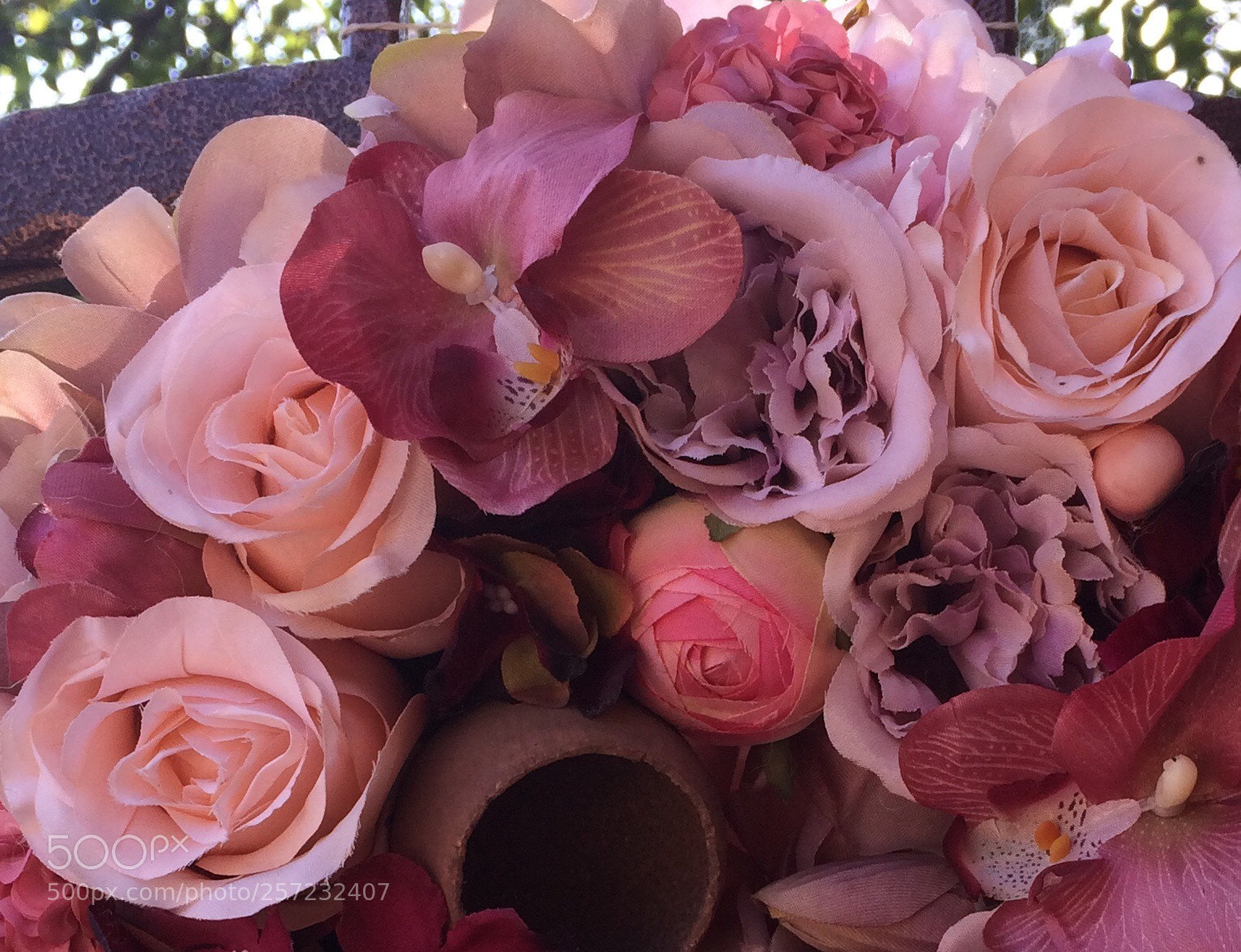 Apple iPhone 5s sample photo. Untitled photography